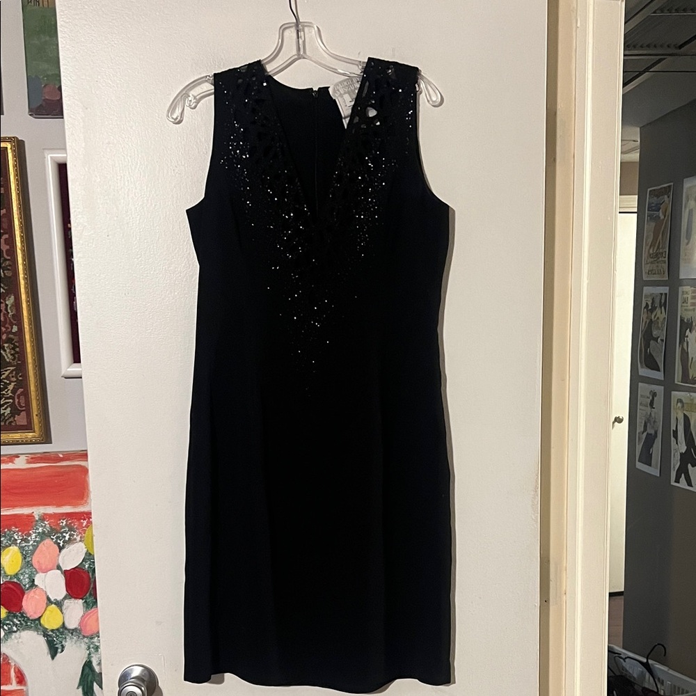 Badgley Mischka fabulous little black dress. Hidden back zip.